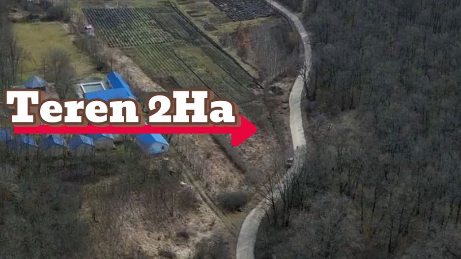 Pădure de vânzare - 2 Ha pentru Agroturism - Poză 3