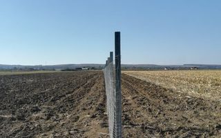 Teren pentru investiție, intravilan + extravilan, Mogoșești-Siret - Poză 4