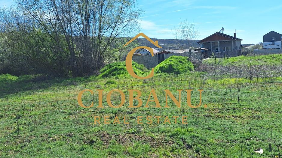 Casa de vanzare in Leamna de Jos - Poză 16