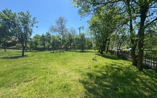 TEREN INTRAVILAN 3477 MP STOENEȘTI BĂDENI ARGEȘ - Poză 8