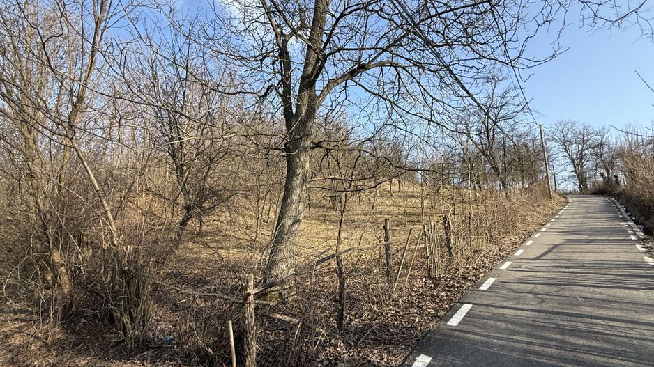 Teren intravilan 2788 mp deschidere 55 ml cu vedere panoramica ! - Poză 21