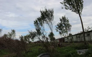 Vanzare hale Mosnita Noua-fosta Ferma 7 - Poză 23