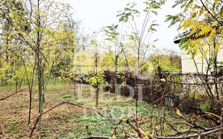 Casa de vanzare cu teren de 1532 mp in satul Berini, Timis - Poză 7