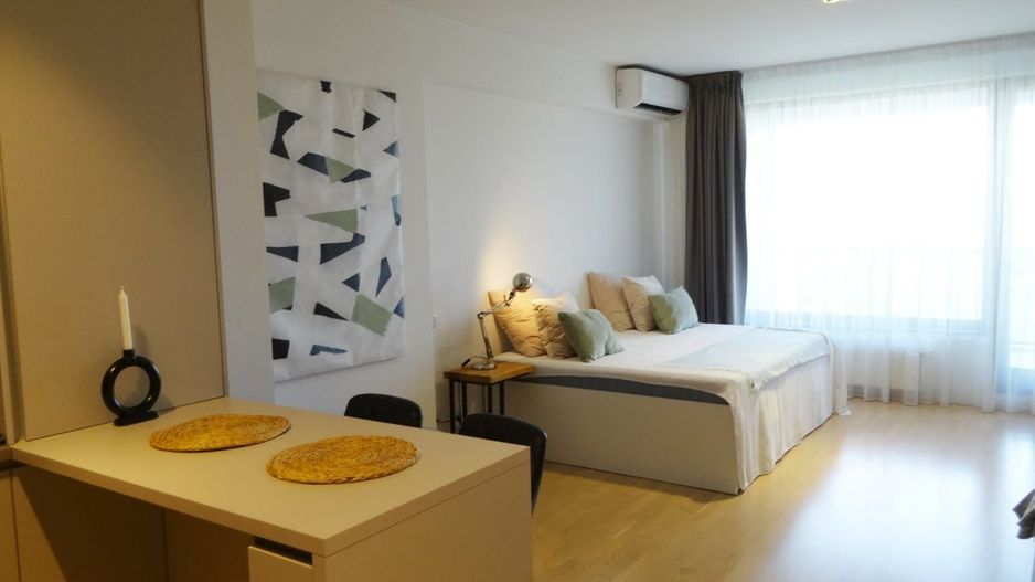 Studio Iancu Nicolae 133-Residence 5 - Poză 4