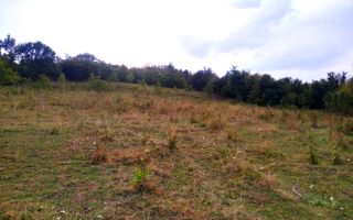 Teren 60 ari - oportunitate investitie - Satu Nou - Poză 1