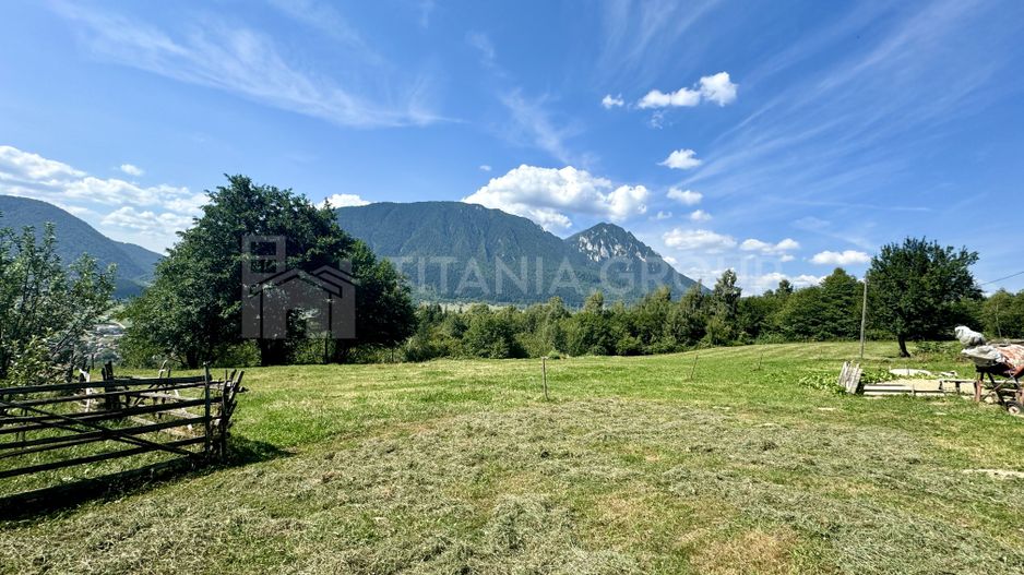 Platou montan, 6631 mp intravilan, electricitate,  langa pădure - Poză 2