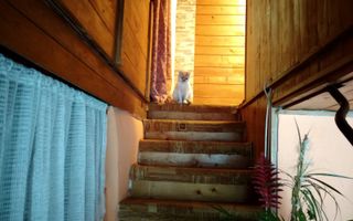 Apartament cu 3 camere de vânzare în zona ultracentrală - Poză 5