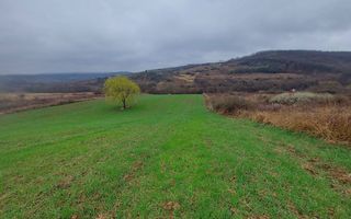 Teren Extravilan Gruilung - Poză 3