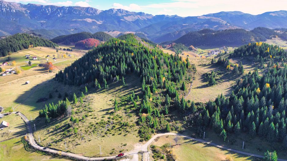 Teren 17590 mp în Fundata, lângă Cheile Grădiștei, Brașov! - Poză 6