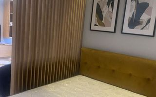 Studio modern | 38 mp | Ultracentral | UMF | USAMV - Poză 6