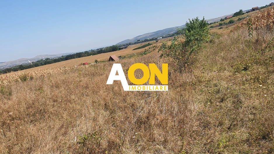 Oportunitate investitie. Oarda de Jos, 16 parcele de 490 mp - Poză 3