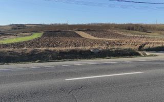 Teren intravilan 15600 mp ( 4 parcele )Livada Cluj - Poză 1