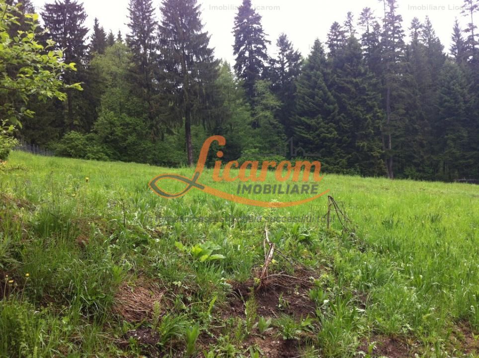 Teren intravilan Cotul Donului,pretabil Hotel/pensiune. - Poză 12