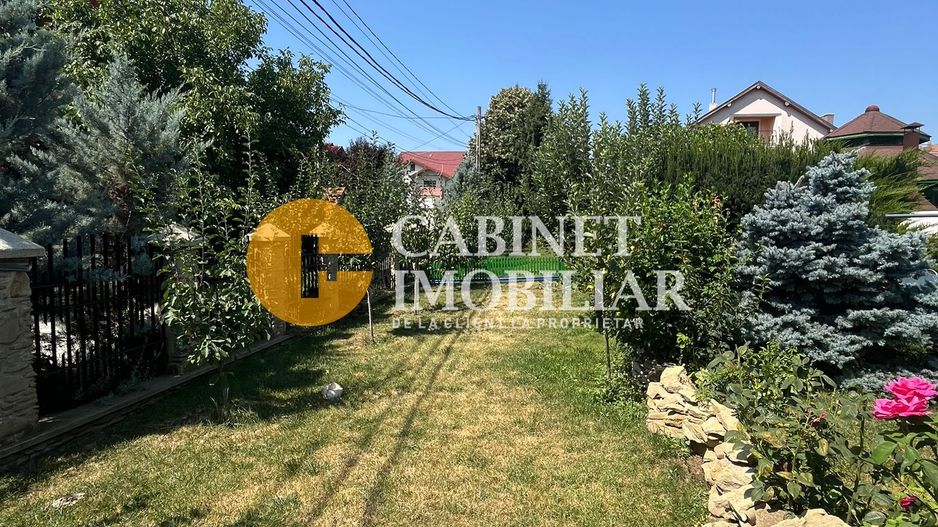 PROPRIETATE EXCLUSIVISTA 390 MP - 2000MP teren Popas Pacurari Garaj Beci - Poză 7