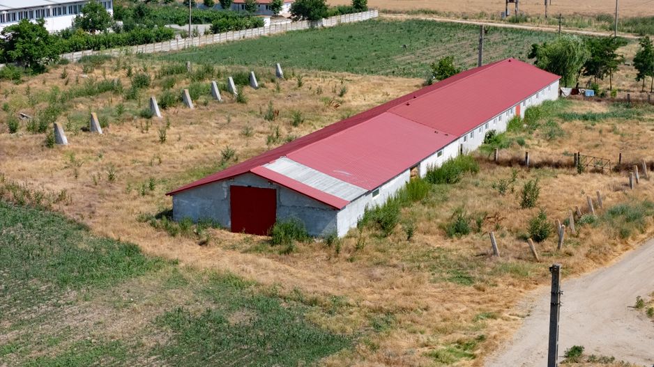 Cogealac - Tariverde – Ferma cu teren intravilan, utilitati racordate! - Poză 6