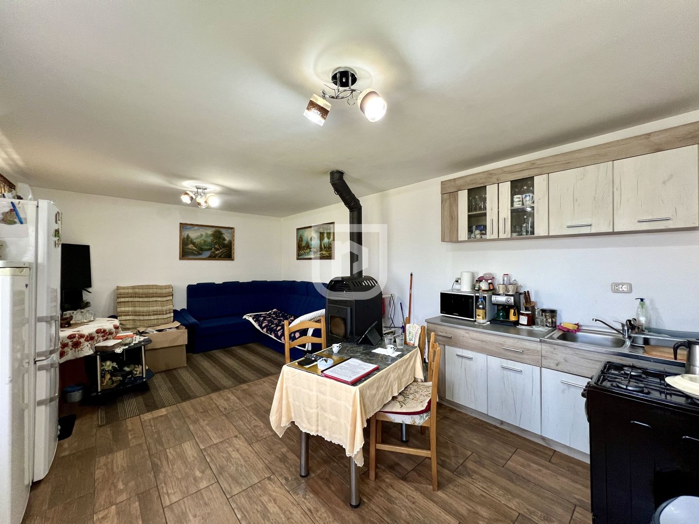 Ferma agricola, plantatii de mure, trandafiri, vita-de-vie - Poză 11