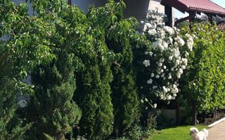 Vila - parter + mansarda -   Sendreni,  jud. Galati - Poză 2