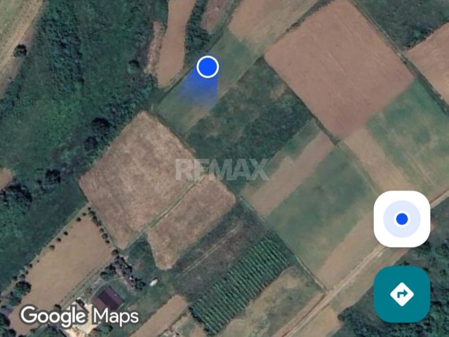 Tabăra/Orhei | 11,62 ari | Teren în inima Codrilor – Ideal pentru evadare în natură sau investiție - Poză 15