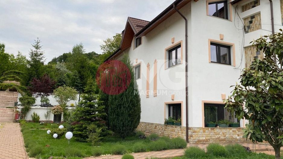 Domeniu de vanzare, Baile Govora teren 20875mp - Poză 2