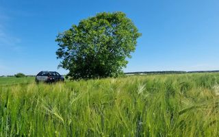 Ferma de Cultura Mare 1100 HA - Poză 9