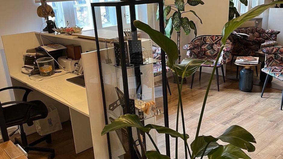 APARTAMENT/ SPATIU BIROURI | 116MP | ROMANA - Poză 5