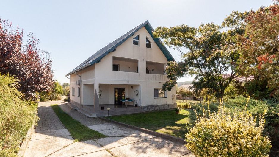 Casa visurilor cu 4000 mp livada roditoare si gradina Darmanesti-Arges - Poză 4