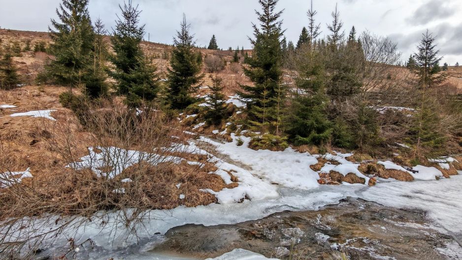 7.858 mp Teren Rar cu Pârâu și Izvoare, Beliș-Fântânele, Cluj - Poză 4
