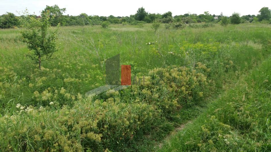 Teren cu iesire la lac - Poză 10