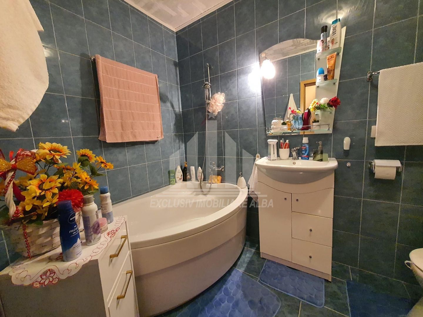 Casa tip duplex de vanzare, Cetate - Poză 8