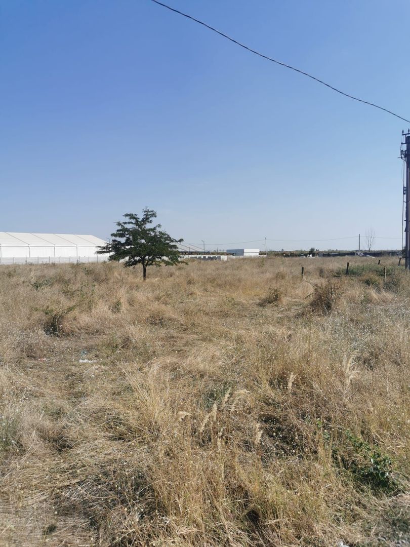 Teren extravilan arabil | Intrare in Pielesti | Zona Peugeot - Poză 5