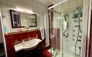 De vânzare casă cu suprafața de 250 mp plus 900 mp teren - Poză 14