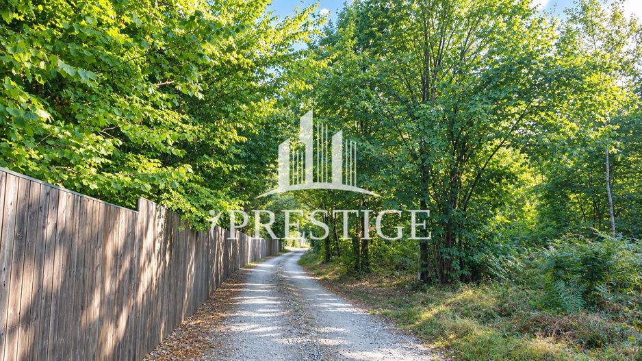 TEREN INTRAVILAN 744 MP | VALEA AVRIGULUI | IDEAL PENTRU CABANĂ - Poză 9