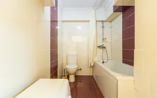 Chirie spațiu comercial 88mp, Flacra - Poză 11