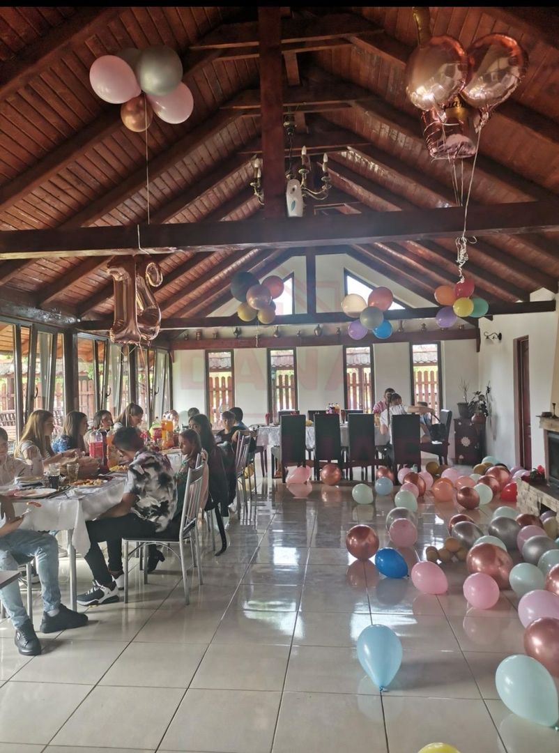 RESTAURANT DE VÂNZARE-COM. OBREJA\SAT IAZ\CARAȘ SEVERIN - Poză 11