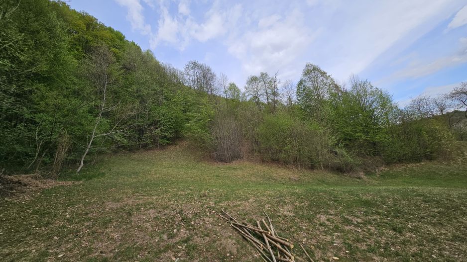 Teren intravilan 1454 mp la marginea padurii zona locuita de case! - Poză 8