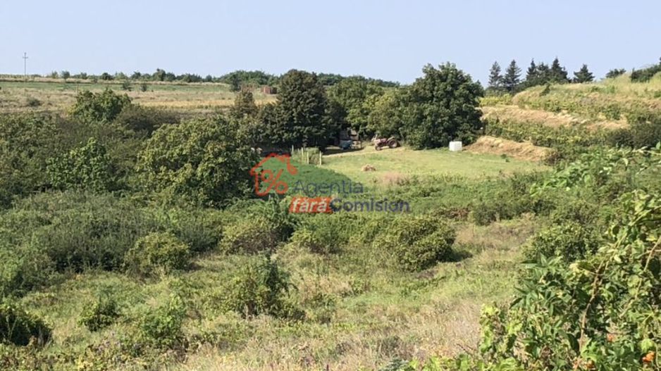 Teren Sorogari, 19000mp,  35euro/mp - Poză 7