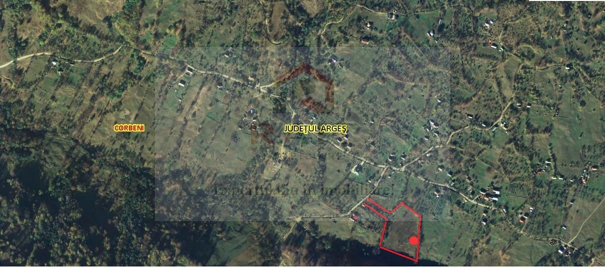 Teren de vanzare Coebeni-Turburea-Arges - Poză 1