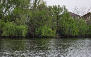Vila premium - acces lac - investitie sigura - Tunari, Ilfov - Poză 1