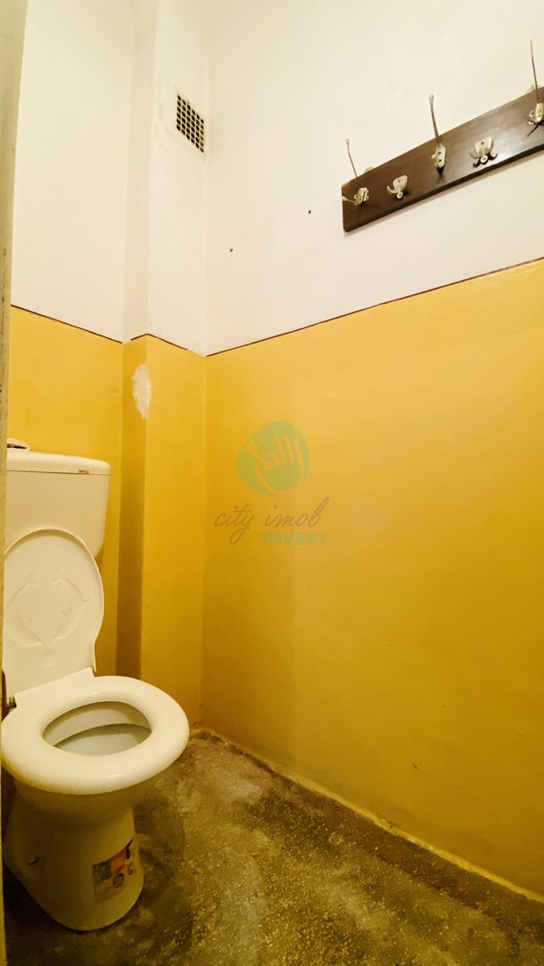 Casa singura in curte - Parcul Carol - Poză 11