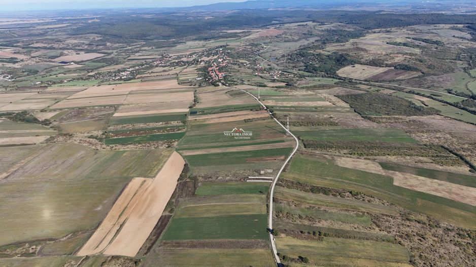 NECTORA IMOB-Teren Saldabagiu de Munte, aproape de Lac Paleu, 2880mp - Poză 6