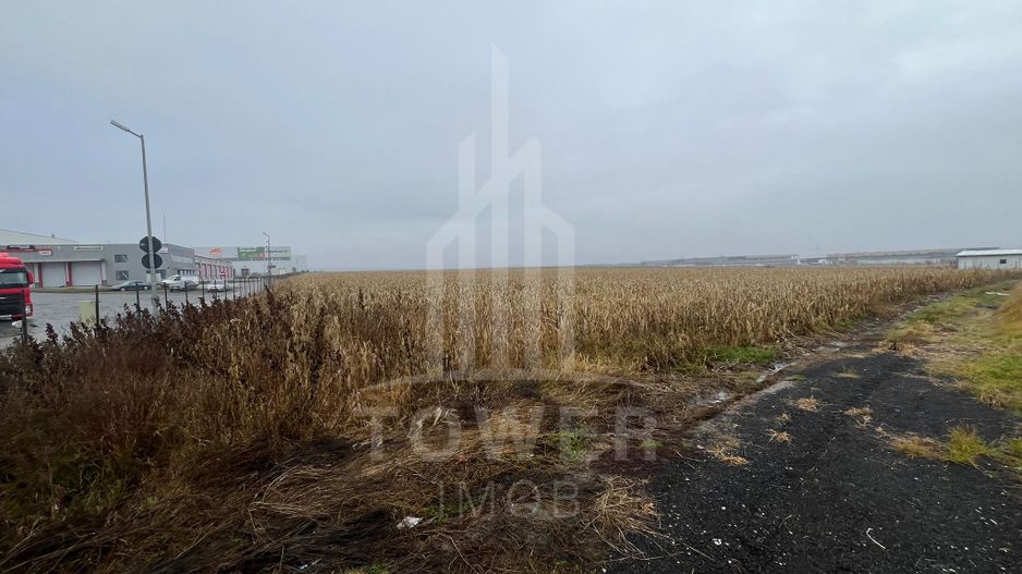 Teren Intravilan | Zona Industriala Vest | 20.663 mp - Poză 9