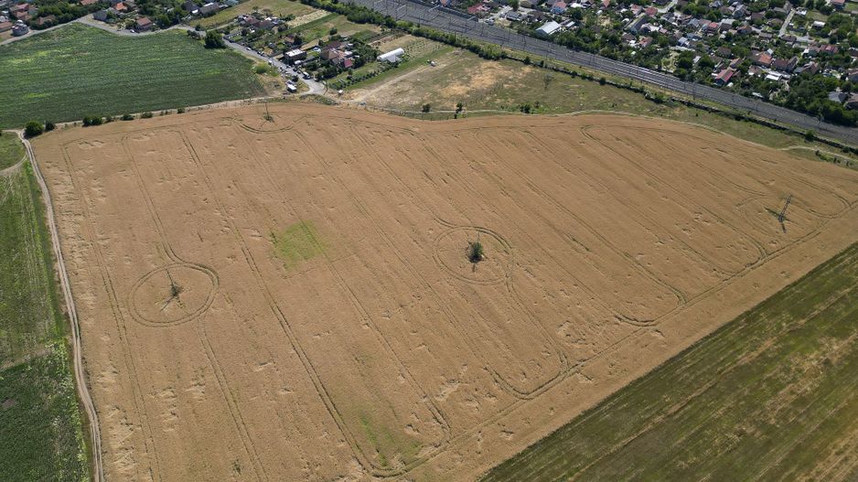 Tern intrevilan 4003 mp - Poză 14