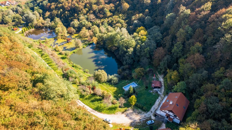 Domeniu în satul Căprioara - Poză 1