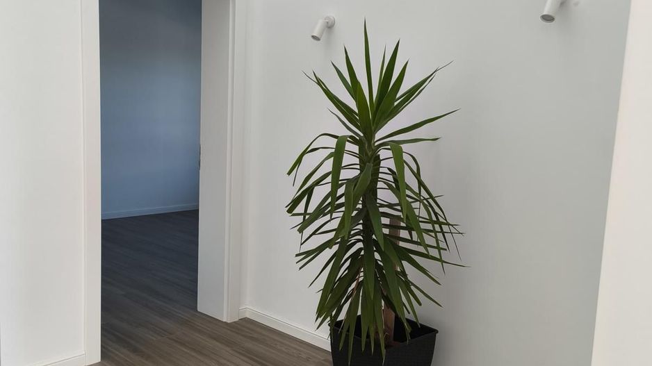 Locuinta individuala in stil mediteranean, teren 668mp - Poză 20