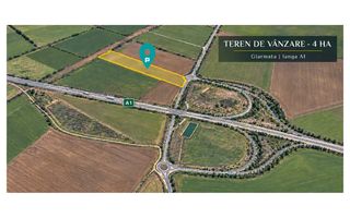 Teren 4 ha – DJ 691 Giarmata | Lângă A1 - Poză 4