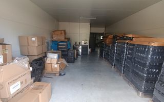 Spațiu comercial, producere+plantație de aronie, Timiș - Poză 10