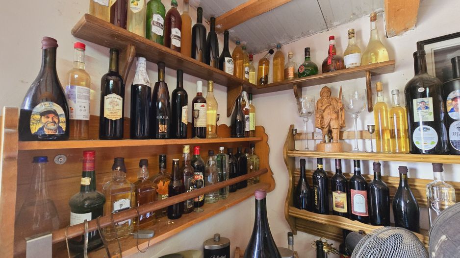 Vie Tradițională „Halta Lupilor” - Poză 19