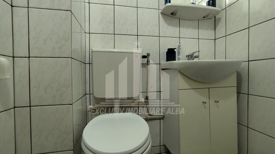 Apartament cu 3 camere de vanzare, Cetate - Poză 7