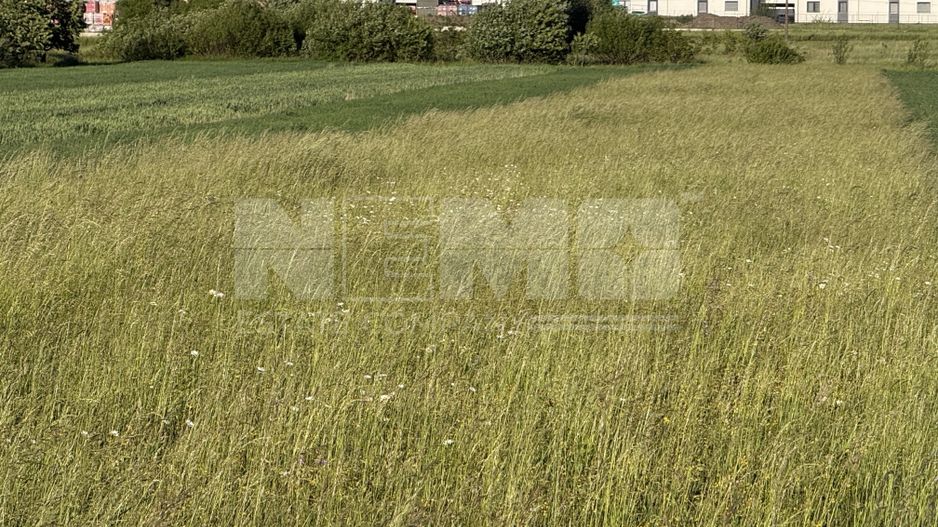 Teren extravilan de vânzare în zona Osoi – 2.650 mp | Front 10 m - Poză 5
