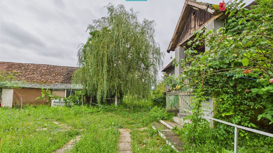 Casă tradiţională cu anexe în ODVOŞ, comuna Conop. - Poză 7